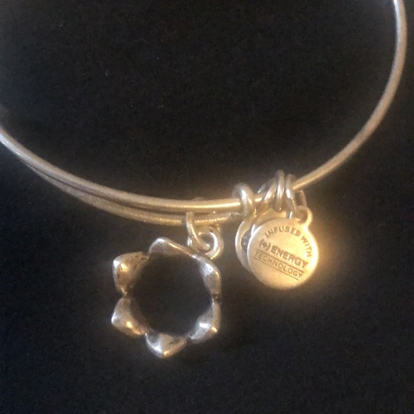 Alex and Ani Queen's Crown Bangle Bracelet - Picture 5 of 6